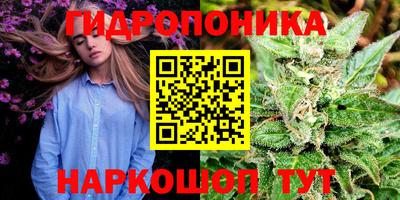 мяу мяу мука Кимры