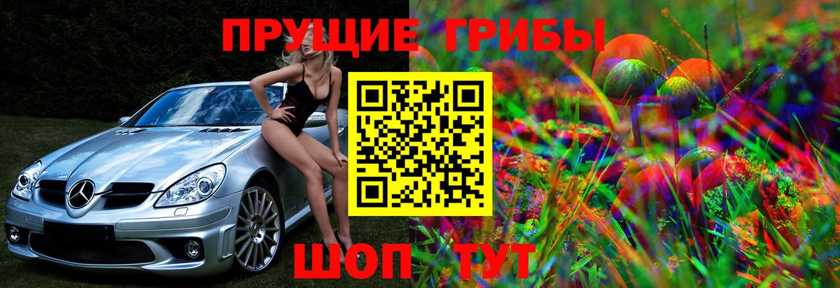 Галлюциногенные грибы мицелий Минеральные Воды